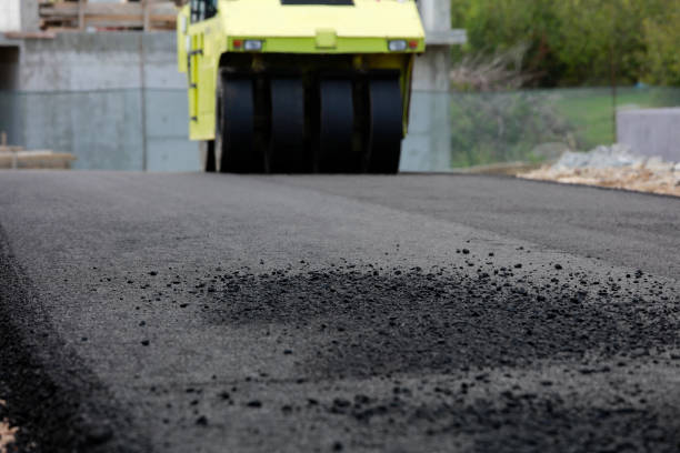 Best Driveway Pavers Cost  in Lacoochee, FL