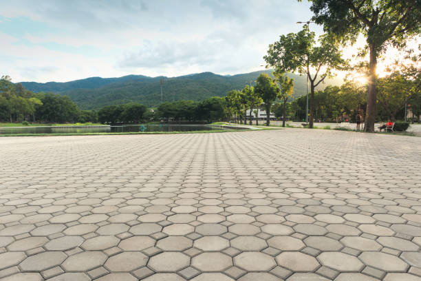Residential Paver Driveway in Lacoochee, FL