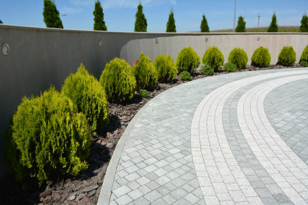 Best Driveway Pavers Near Me  in Lacoochee, FL