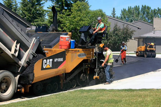 Best Driveway Pavers Near Me  in Lacoochee, FL